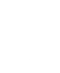 Fienix Clothing - Logo